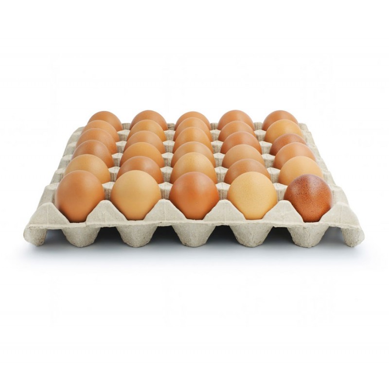 Grassfed Organic Turmeric Superghee