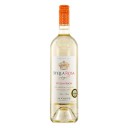 Stella-rosa-peach