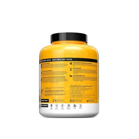 Syntho Gold: A Protein Blast for Your Body