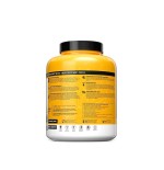 Syntho Gold: A Protein Blast for Your Body