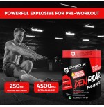 Denzour micronised creatine - 100 g